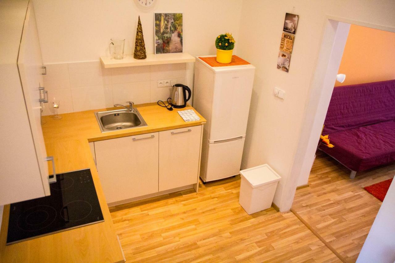 Lidicka Apartment Prague Extérieur photo